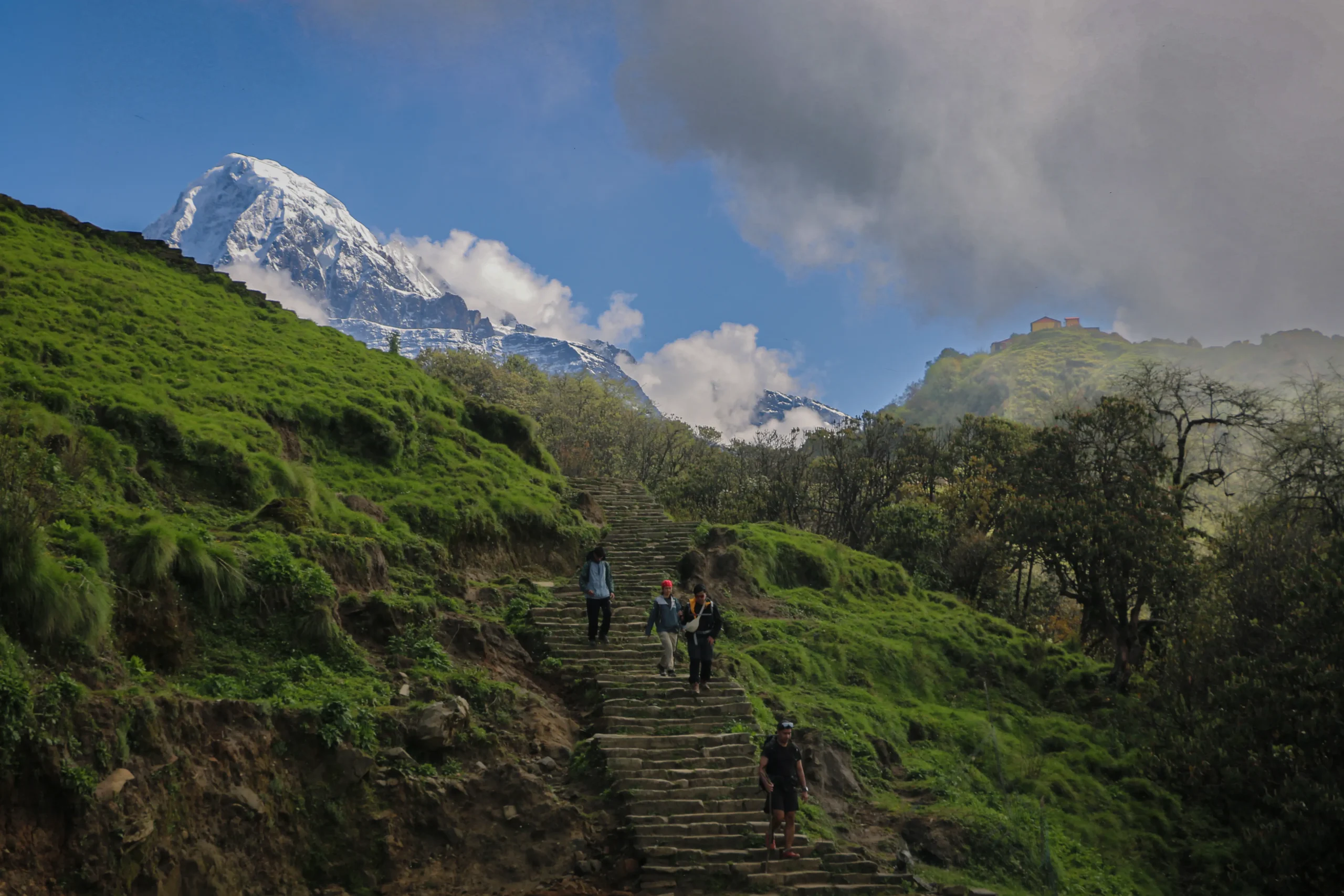 Trekkers hiking down a steep stone staircase on a lush green hillside along the Mardi Himal trekking route, with a snow-capped mountain peak in the background.