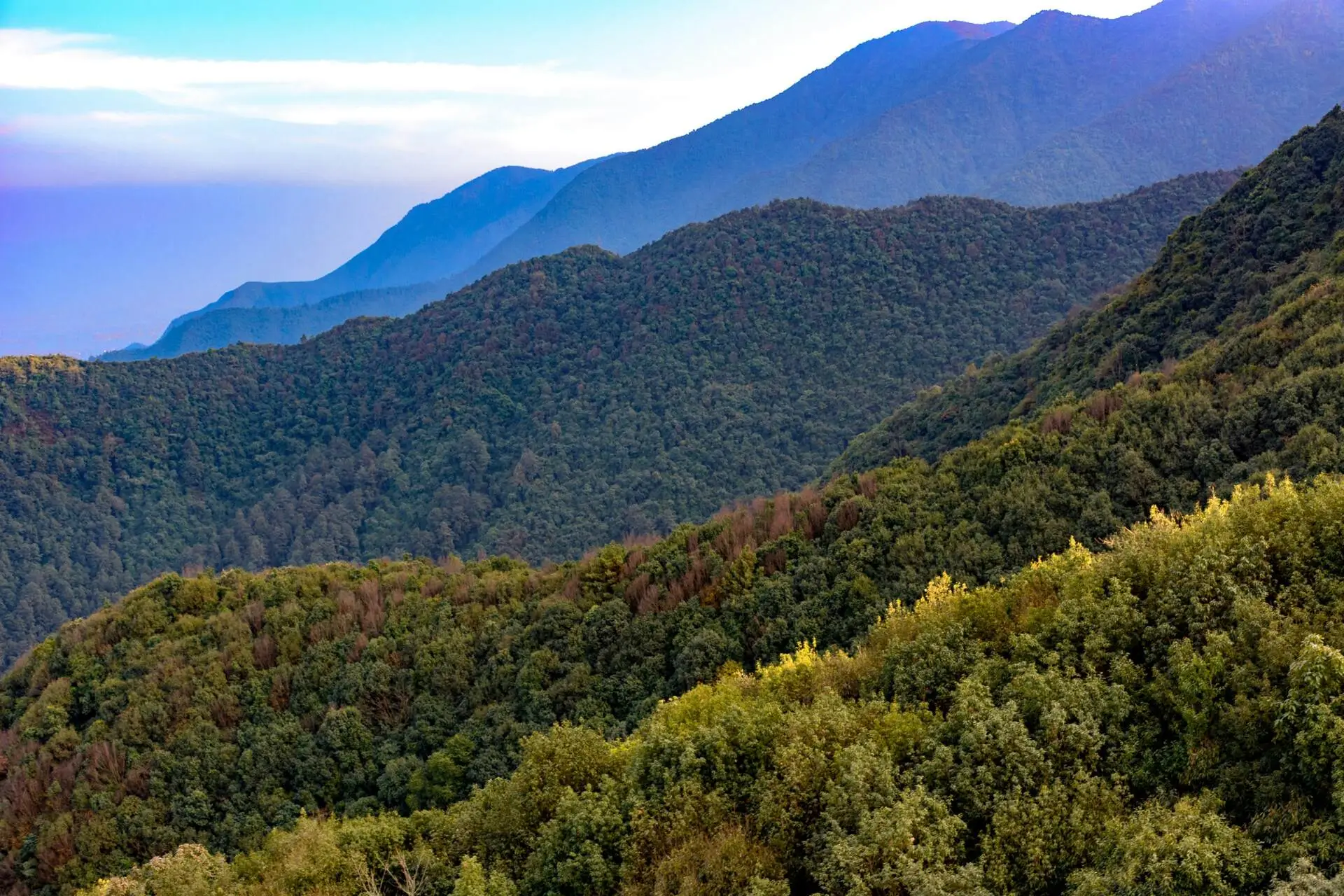 A scenic view from the Champadevi hiking trail in Nepal, showcasing a lush green forest covering the hillside. In the background, another forested hill is visible, followed by multiple layers of rolling hills. The sky is partly cloudy, but the day remains bright, highlighting the natural beauty of hiking to Nepal.