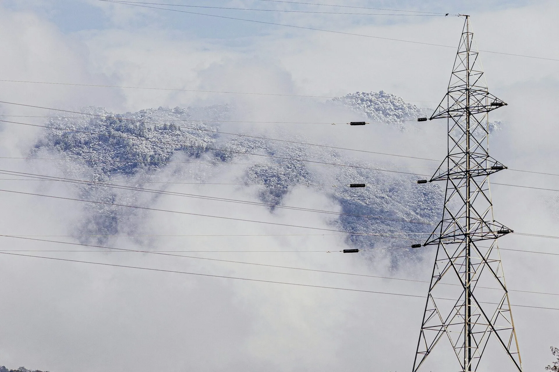 A snow-covered Shivapuri forest in Nepal after a recent snowfall, with the landscape appearing white. In the foreground, an electrical tower and numerous power lines stretch across the image. Behind the wires, the dense forest is blanketed in snow. Fog and clouds hover around the base of the hill, partially obscuring the lower part of the forest. The sky is overcast with thick clouds.