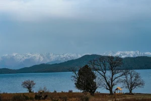 A serene view of Rara Lake in Nepal, surrounded by dense forested hills and framed by distant snow-capped peaks, with leafless trees and a small wooden shelter in the foreground under a soft, overcast sky—capturing the tranquil beauty of this remote Himalayan destination.