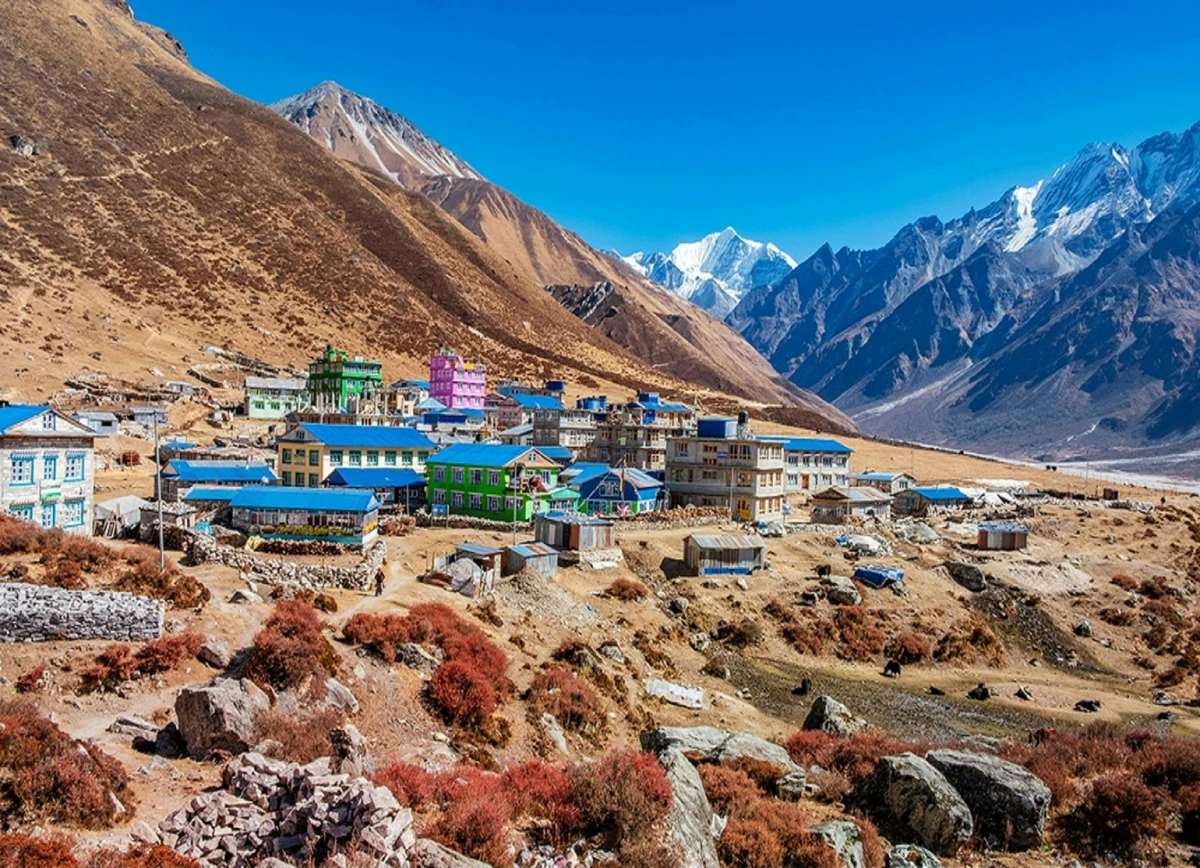 "Scenic view of Langtang Valley with majestic snow-capped mountains in the background, surrounded by lush green hills and rugged terrain under a clear blue sky."