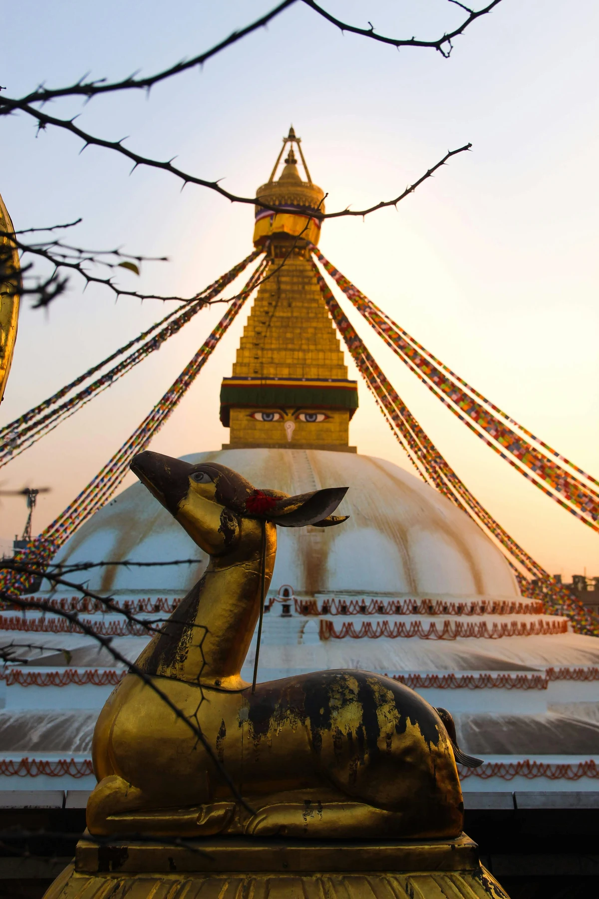 A majestic view of Boudhanath Stupa during sunset in Kathmandu, with the iconic Buddha eyes gazing outward and colorful prayer flags draped from the golden spire, accompanied by a golden deer statue in the foreground—symbolizing spiritual heritage and Cultural tourism in Nepal.