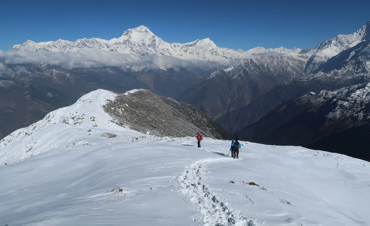 Snow-capped peak of Mount Dhaulagiri towering over the frozen landscape of Khopra Danda during the winter trekking season.