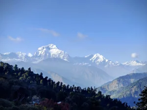 Panoramic view of the snow-capped Dhaulagiri range towering above lush forests and rolling hills on the Dhaulagiri Circuit Trek in western Nepal.